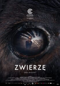 Plakat filmu "Zwierzę"